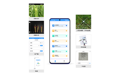 黑龙江小麦表型检测仪IN-XM04